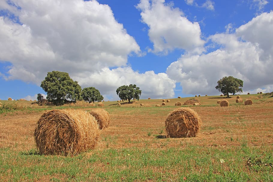 tuscany, sky, vacations, fields, straw, straw bales, background HD wallpaper