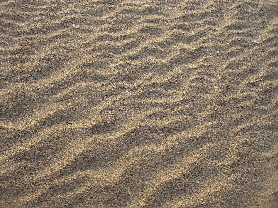 latvia, riga, texture, abstract, baltic, beige, sandy, beach HD wallpaper