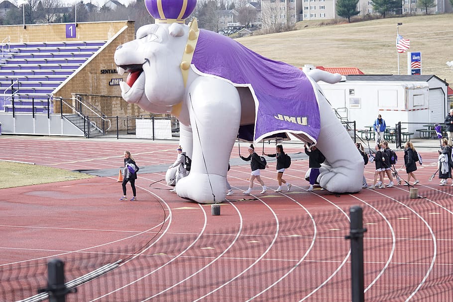white bulldog statue, human, person, sport, running track, sports HD wallpaper