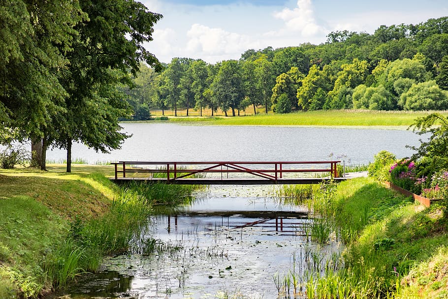 bridge, lake, forest, water, nature, landscape, summer, idyllic HD wallpaper
