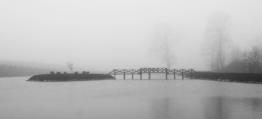 pond, bridge, water, landscape, the fog, island, tree, nature HD wallpaper