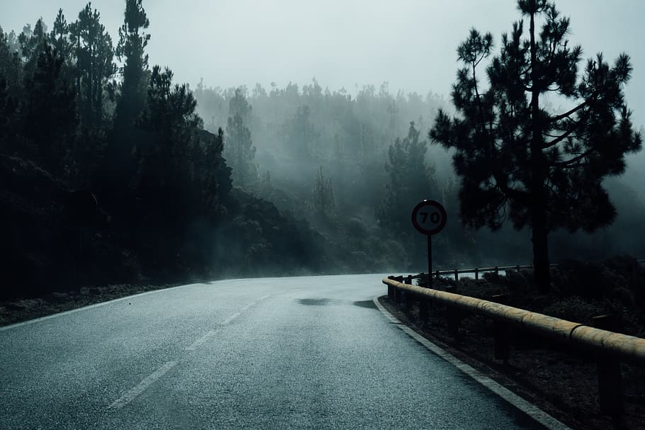 gray concrete wall, tree, plant, road, fog, sign, transportation HD wallpaper