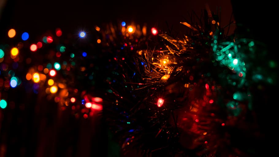 christmas, christmas tree, trees, light, lights, night, night light HD wallpaper
