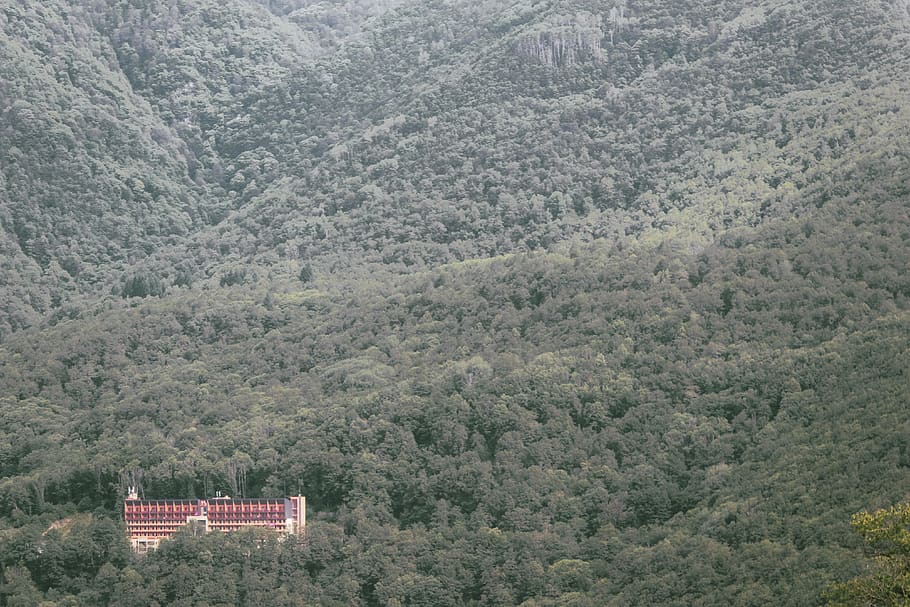 trees, hotel, mountains, green, red, building, forest, hills HD wallpaper