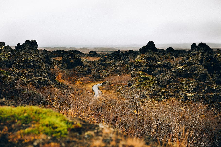 A curvy road through the rocky terrain surrounded by bushes, direction HD wallpaper