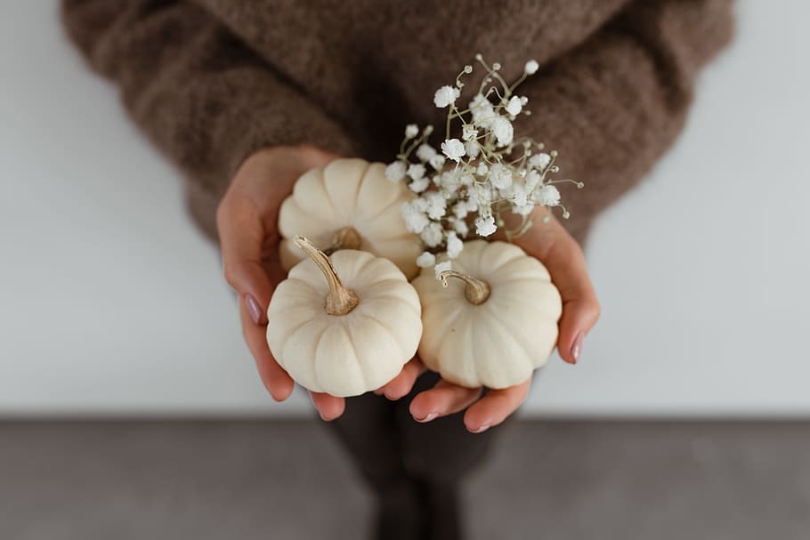 Mini white pumpkins, food, autumn, fall, vegetable, halloween, HD wallpaper