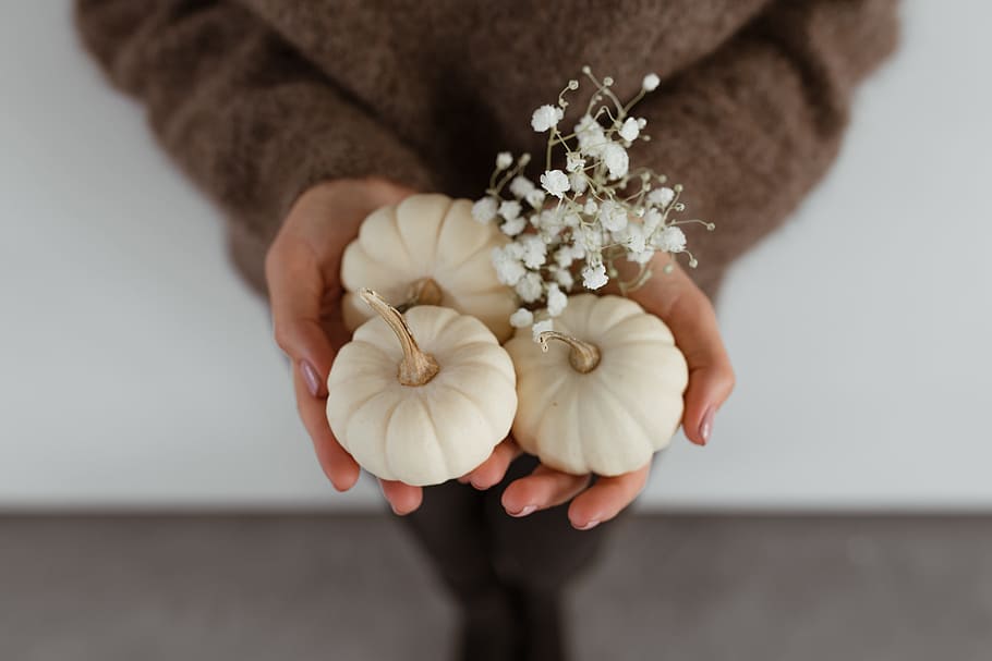 Mini white pumpkins, food, autumn, fall, vegetable, halloween HD wallpaper