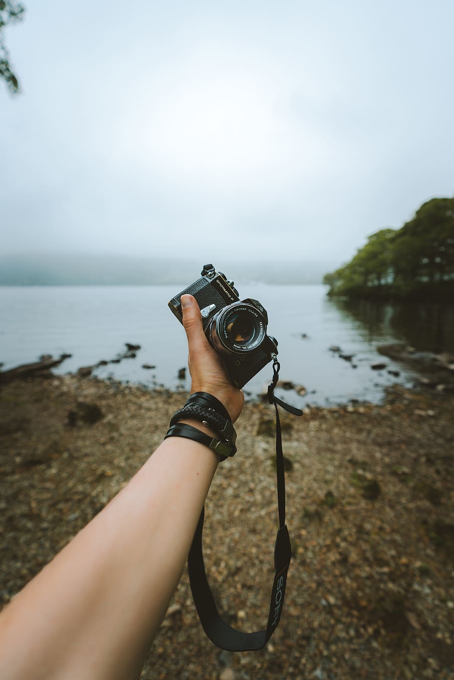 Person Holding Black Camera Front Body of Water, adventure, beach HD wallpaper