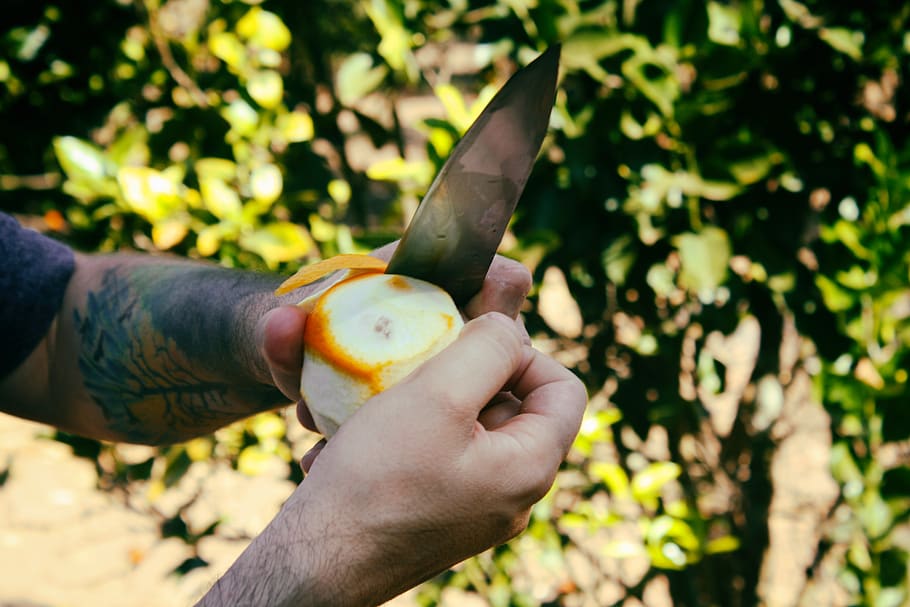 green, tattoo, orange, tree, boy, abstract, holding, human hand HD wallpaper