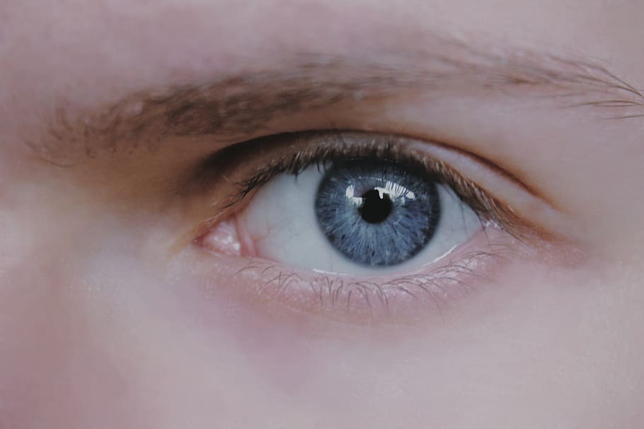eye, pupil, human, face, vision, person, eyebrow, people, eyesight HD wallpaper