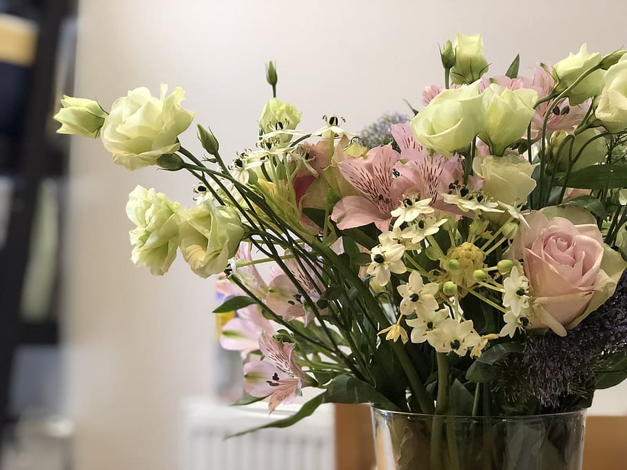 bouquet, roses, spring, flower, flowering plant, fragility HD wallpaper