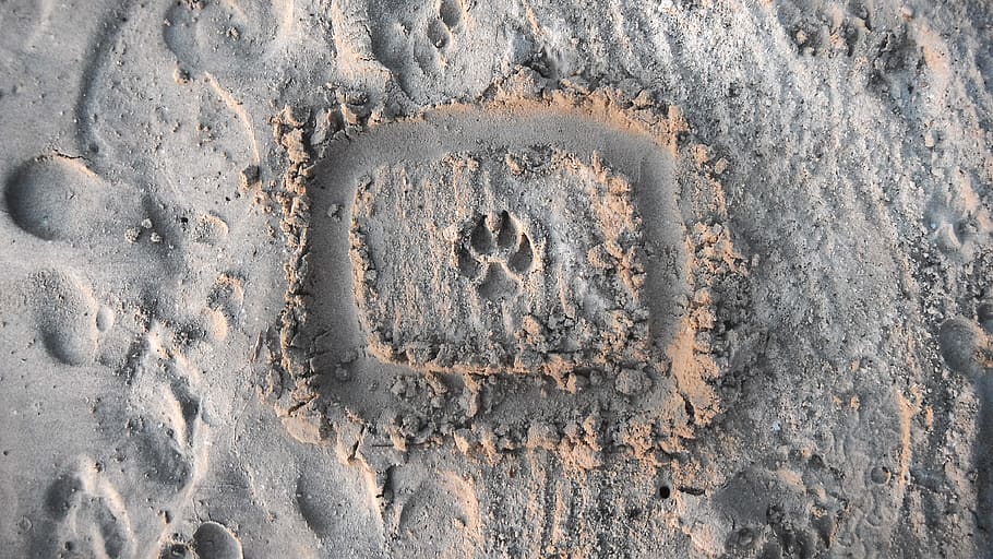 paw wallpaper, sand, outdoors, nature, ground, grey, footprint HD wallpaper