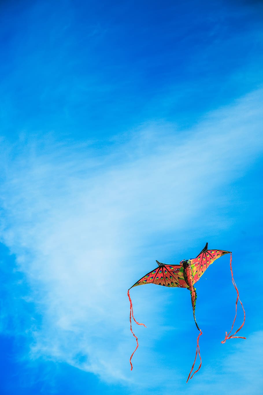 kite, toy, sky, bird, papalote, blue, colors, dragon, kids