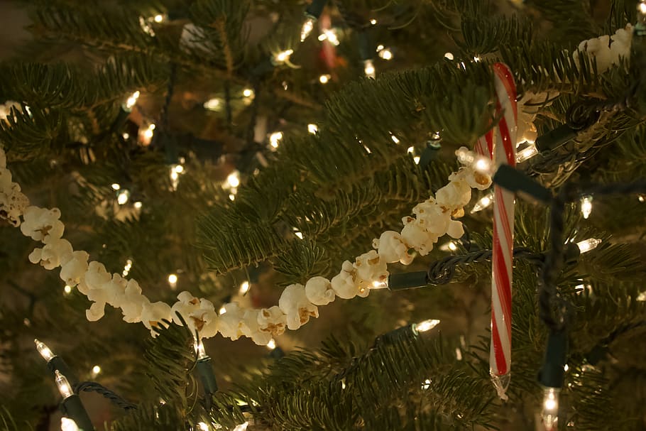 Christmas, Lights, Tree, Popcorn, Candy, Cane, Candy Cane, holiday HD wallpaper