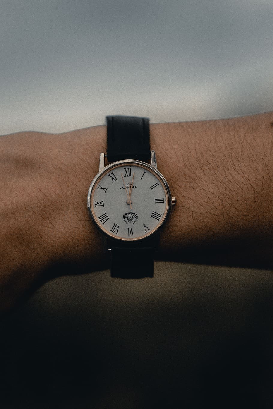 Humans watch. Analogue watch. Human watch. Hand watch Human.