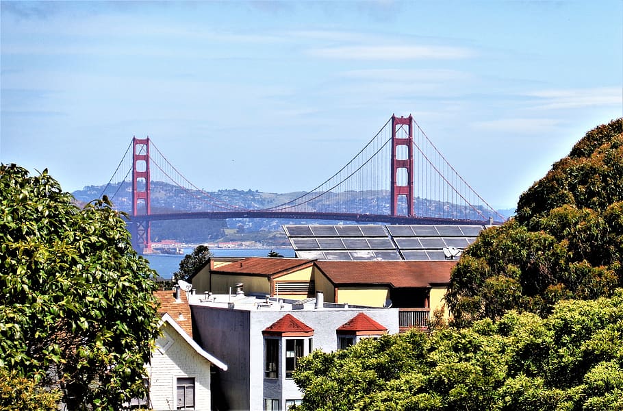 golden gate, built structure, architecture, plant, suspension bridge HD wallpaper