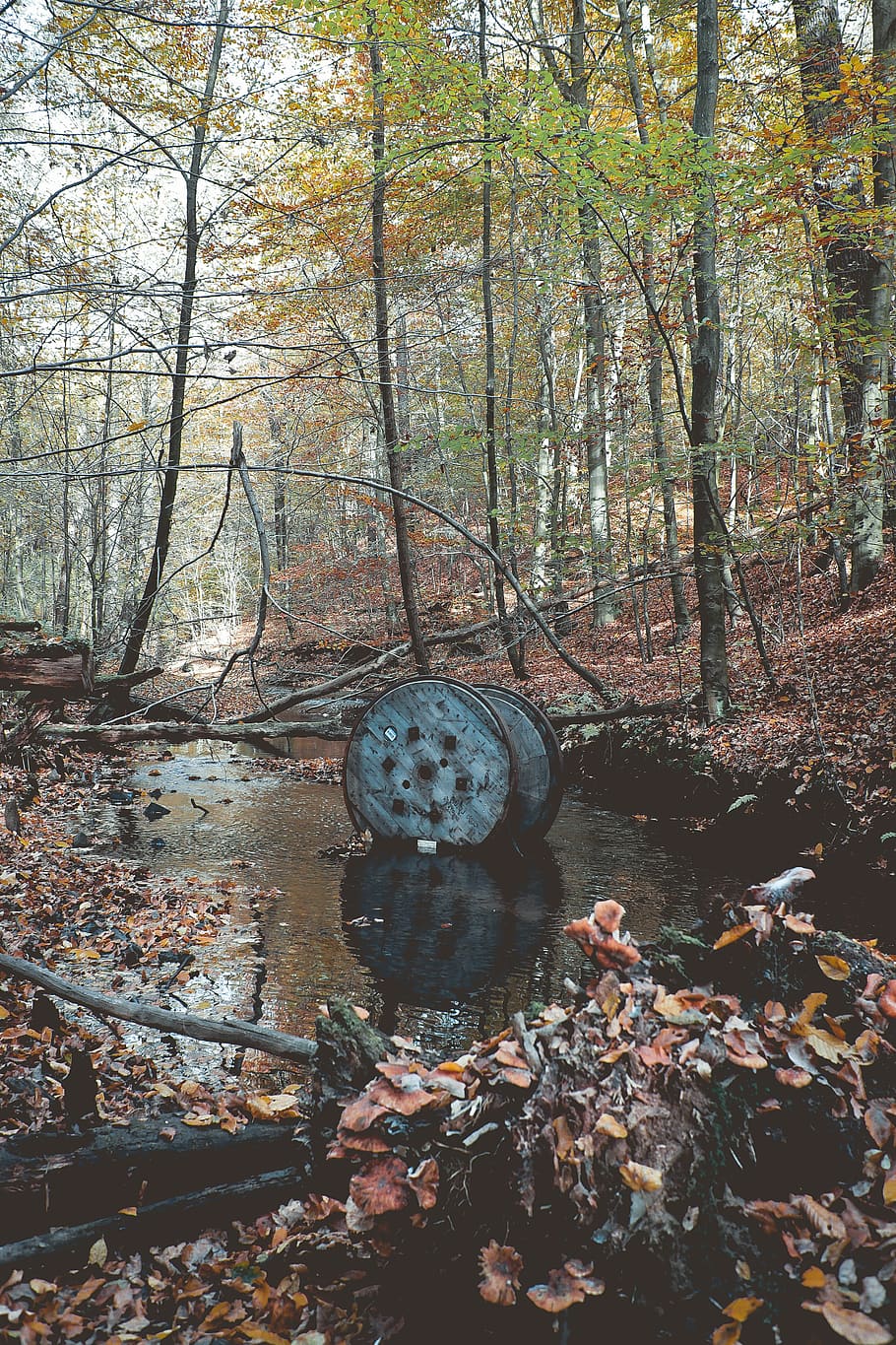 forest, pollution, traces, manmade, contrast, nature, object HD wallpaper