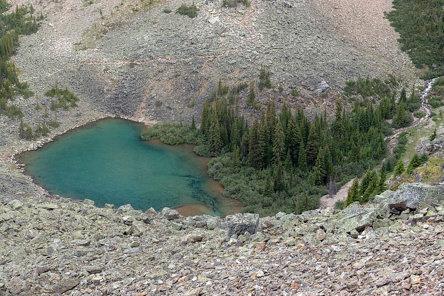 canada, yukness lake, water, tree, beauty in nature, plant HD wallpaper