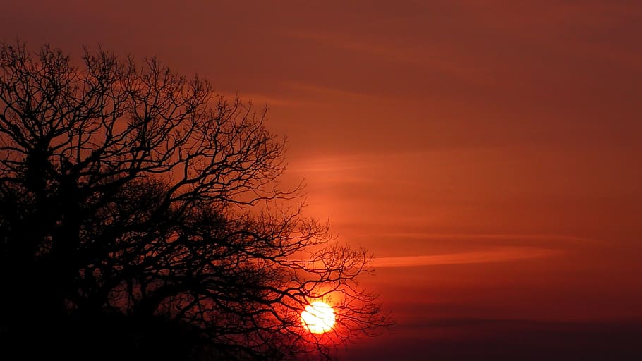 sun, sunrise, mood, nature, meditation, romantic, twilight HD wallpaper
