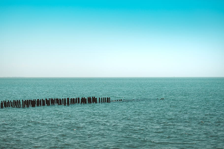 georgia, poti, water, sea, horizon, horizon over water, sky HD wallpaper