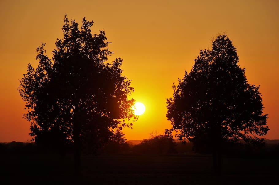 sunset, trees, silhouette, evening, scenery, mood, orange, heaven HD wallpaper