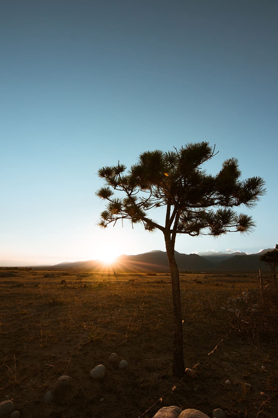 kyrgyzstan, sky, plant, tranquility, tranquil scene, beauty in nature HD wallpaper