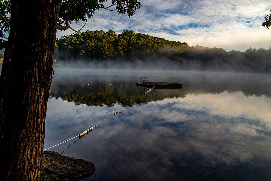 water, mist, lake, tree, plant, nature, reflection, beauty in nature HD wallpaper