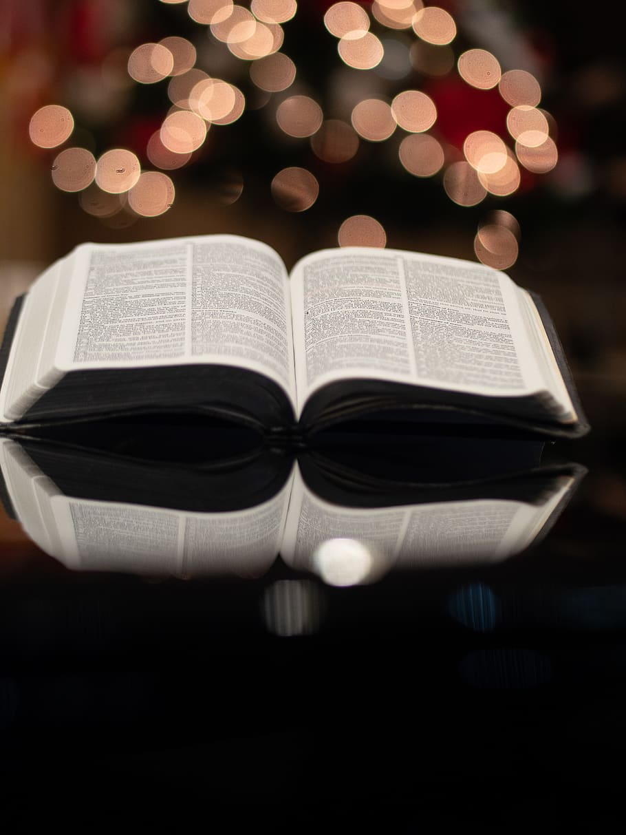 opened book with round bokeh, publication, indoors, illuminated HD wallpaper