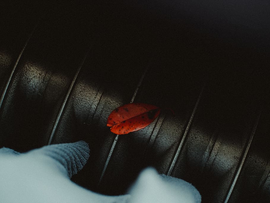 Brown Leaf, color, dark, red, textile, one person, human body part HD wallpaper