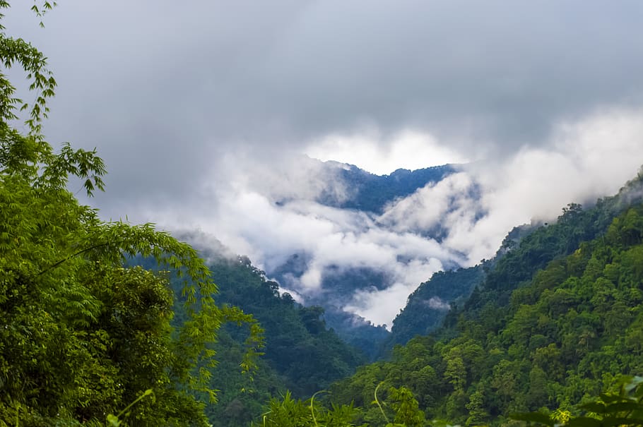 arunachal pradesh, clouds, mountains, amazingview, greenery