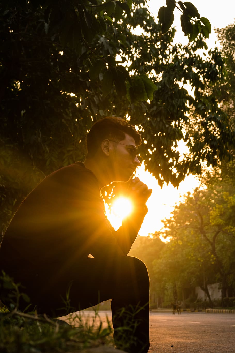 Man Sitting on Grass Near Tree, backlit, environment, landscape HD wallpaper