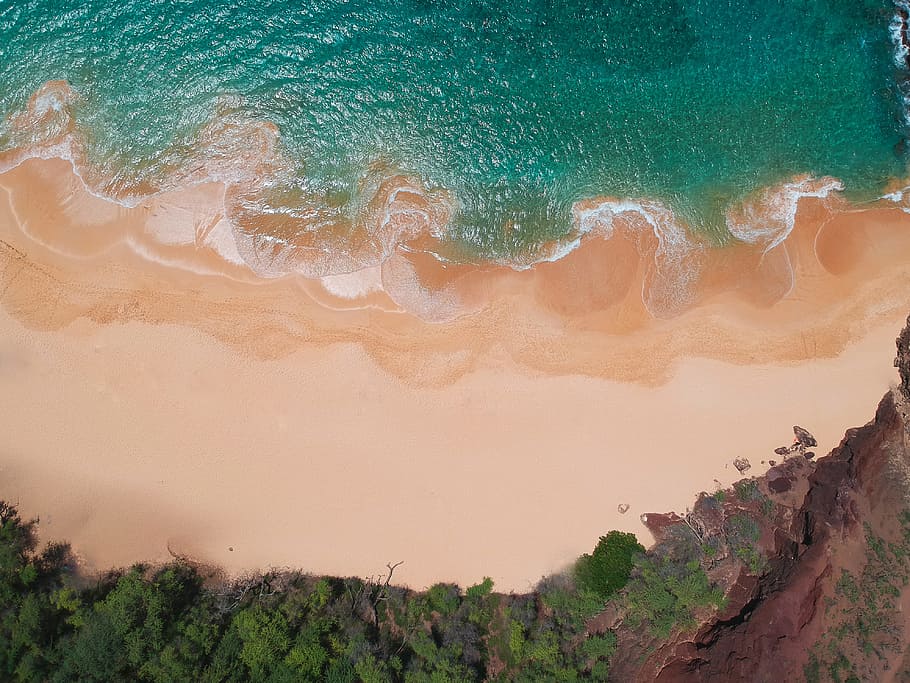 aerial view of seashore, beach, coast, topdown, sand, green, water, HD wallpaper