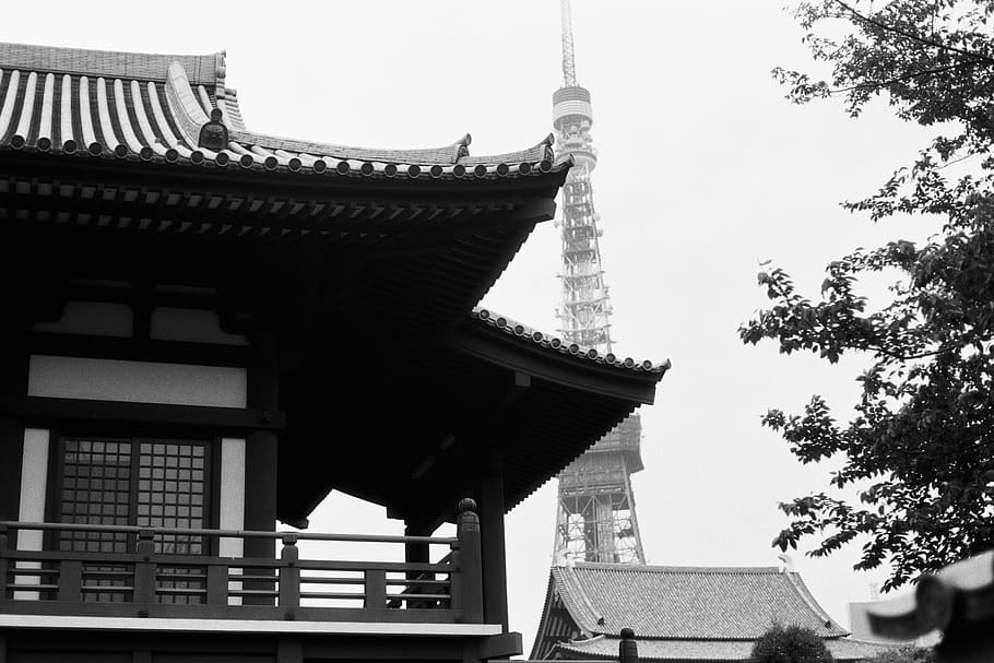 japan, minato-ku, zōjō-ji, building, temple, black and white, HD wallpaper