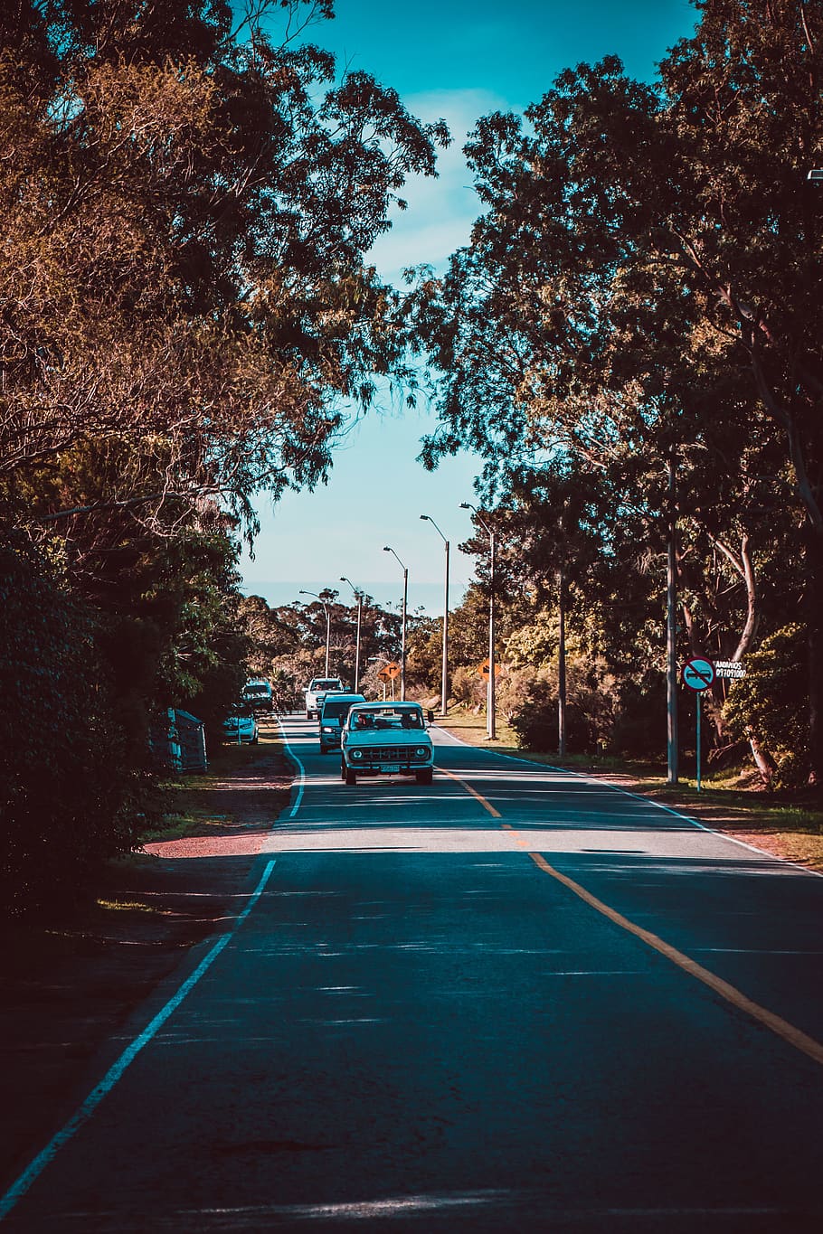 uruguay, tree, transportation, plant, motor vehicle, mode of transportation HD wallpaper