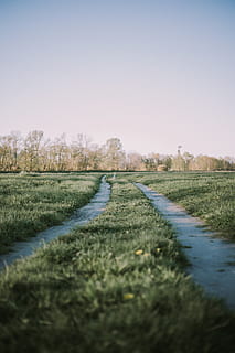 green field, ditch, ground, outdoors, grassland, soil, plant HD wallpaper