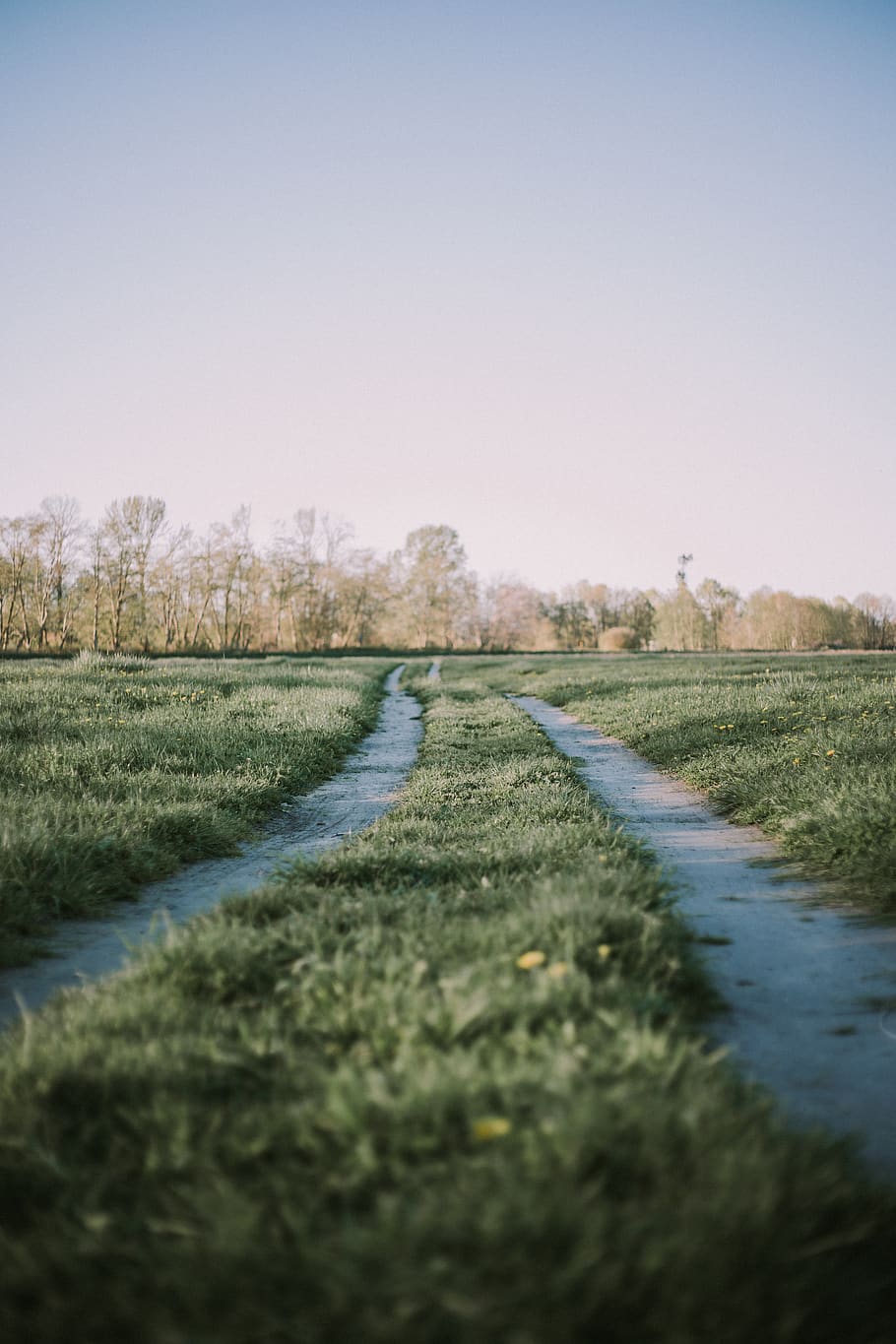 green field, ditch, ground, outdoors, grassland, soil, plant HD wallpaper