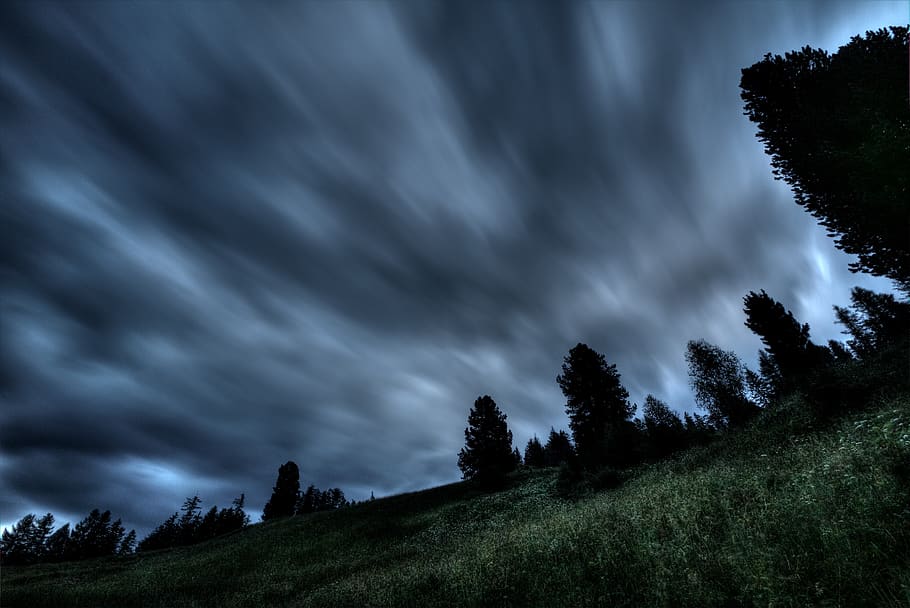 Silhouette Photo of Trees Under Gray Clouds, evening, fog, grass HD wallpaper