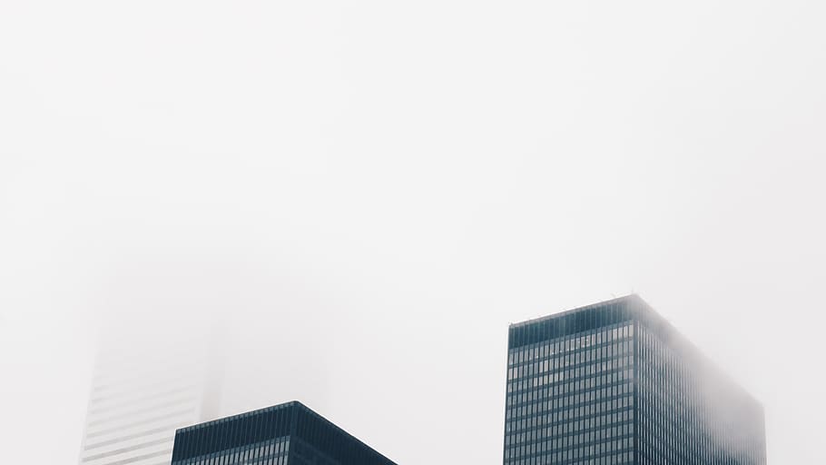 toronto, canada, architecture, skyscraper, fog, minimal, wallpaper HD wallpaper