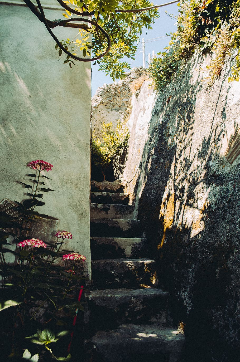 italy, steps, backyard, garden, plant, staircase, architecture HD wallpaper