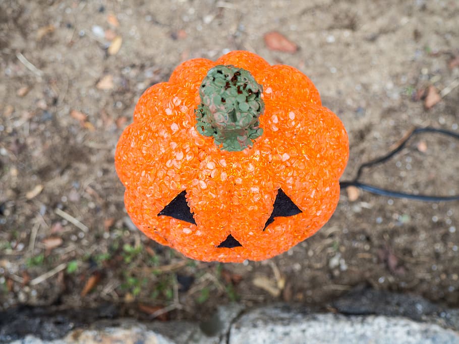 Halloween Jack O’ Lantern Light, Fall, Holidays, Macro, Objects HD wallpaper