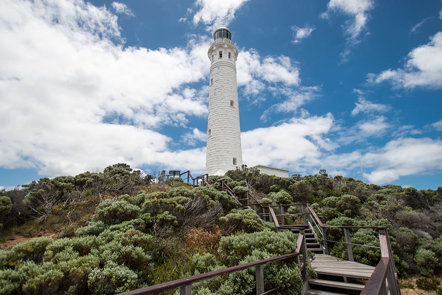 lighthouse, trees, greenery, australia, westernaustralia, architecture HD wallpaper