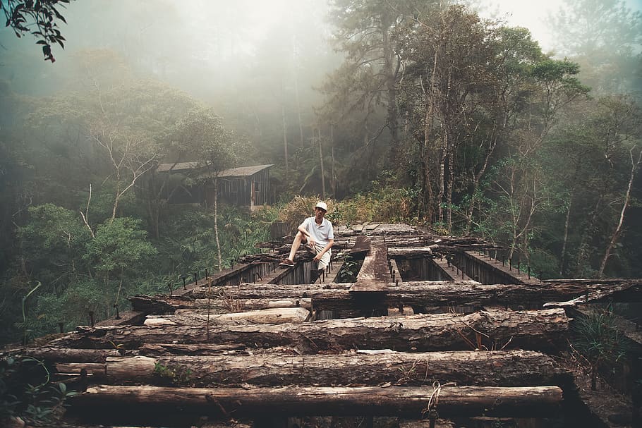 man sitting on brown log, outdoors, mining, lumber, wood, tree HD wallpaper