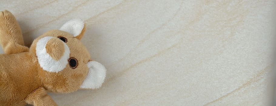 ted, toy, teddy, soft, bear, stuff, stuffed, stuffed toy, indoors HD wallpaper