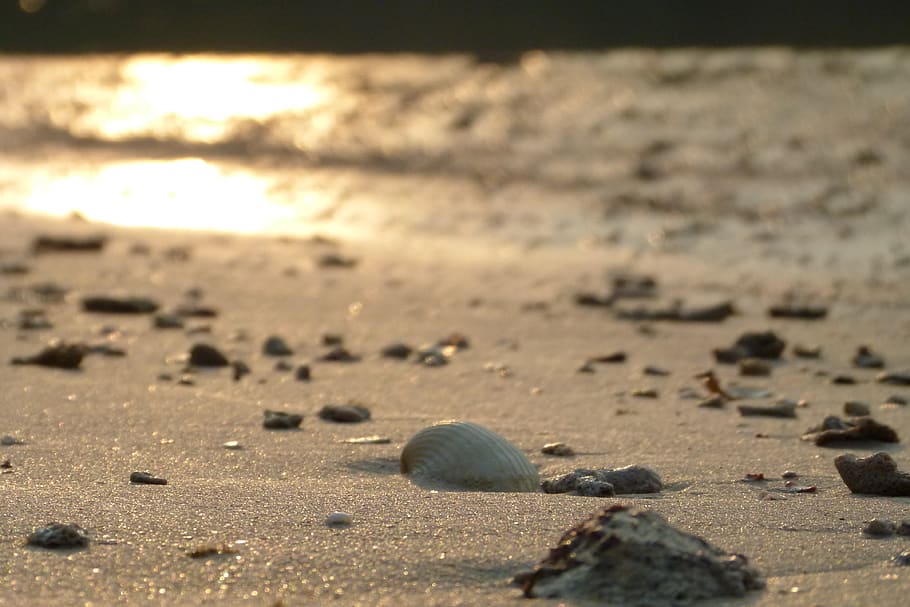 thailand, ko mak, couch, calm, sand, sundown, beach, wallpaper, HD wallpaper