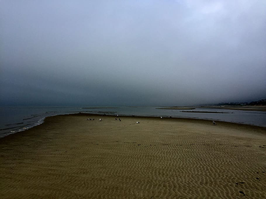 beach, mist, water, sea, land, tranquility, beauty in nature HD wallpaper