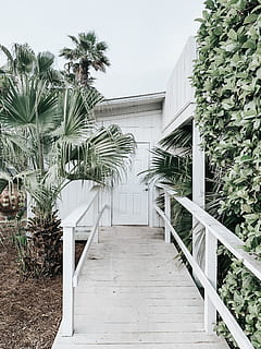 plant, tree, railing, outdoors, banister, handrail, garden HD wallpaper