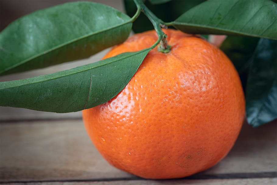mandarin, orange, fruit, fresh, vitamins, eat, juicy, healthy HD wallpaper