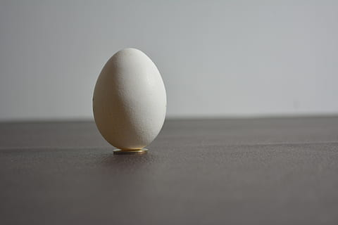 egg, shadows, light, food, wellbeing, indoors, single object HD wallpaper