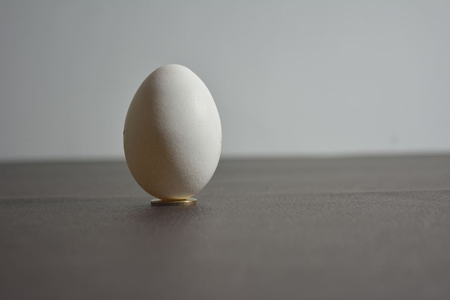 egg, shadows, light, food, wellbeing, indoors, single object HD wallpaper