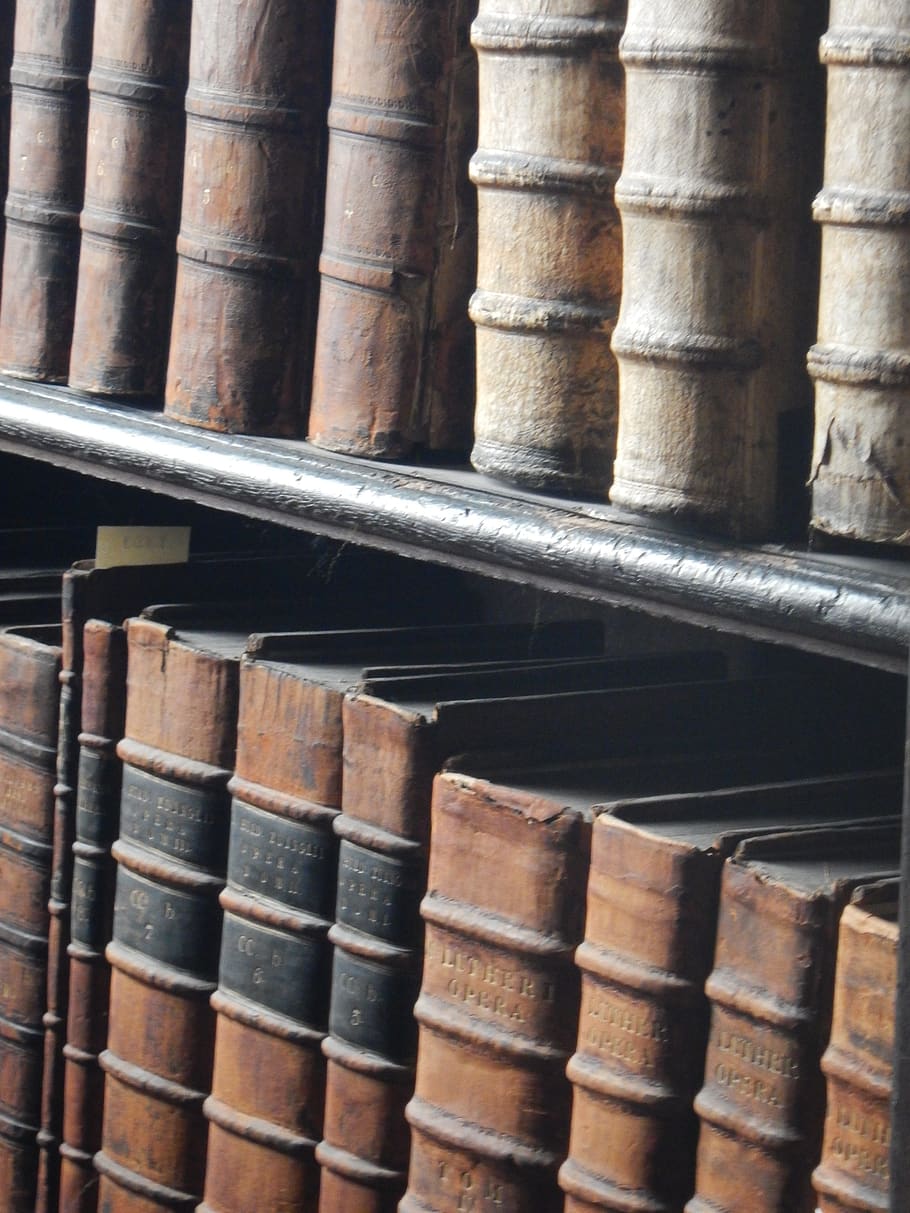 book, library, old, background, education, read, reading, research HD wallpaper